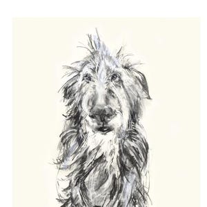 Beertje (Bea) Vonk Grande stampa 'LURCHER' su carta fatta a mano. 16,5x11,7 pollici Cane.