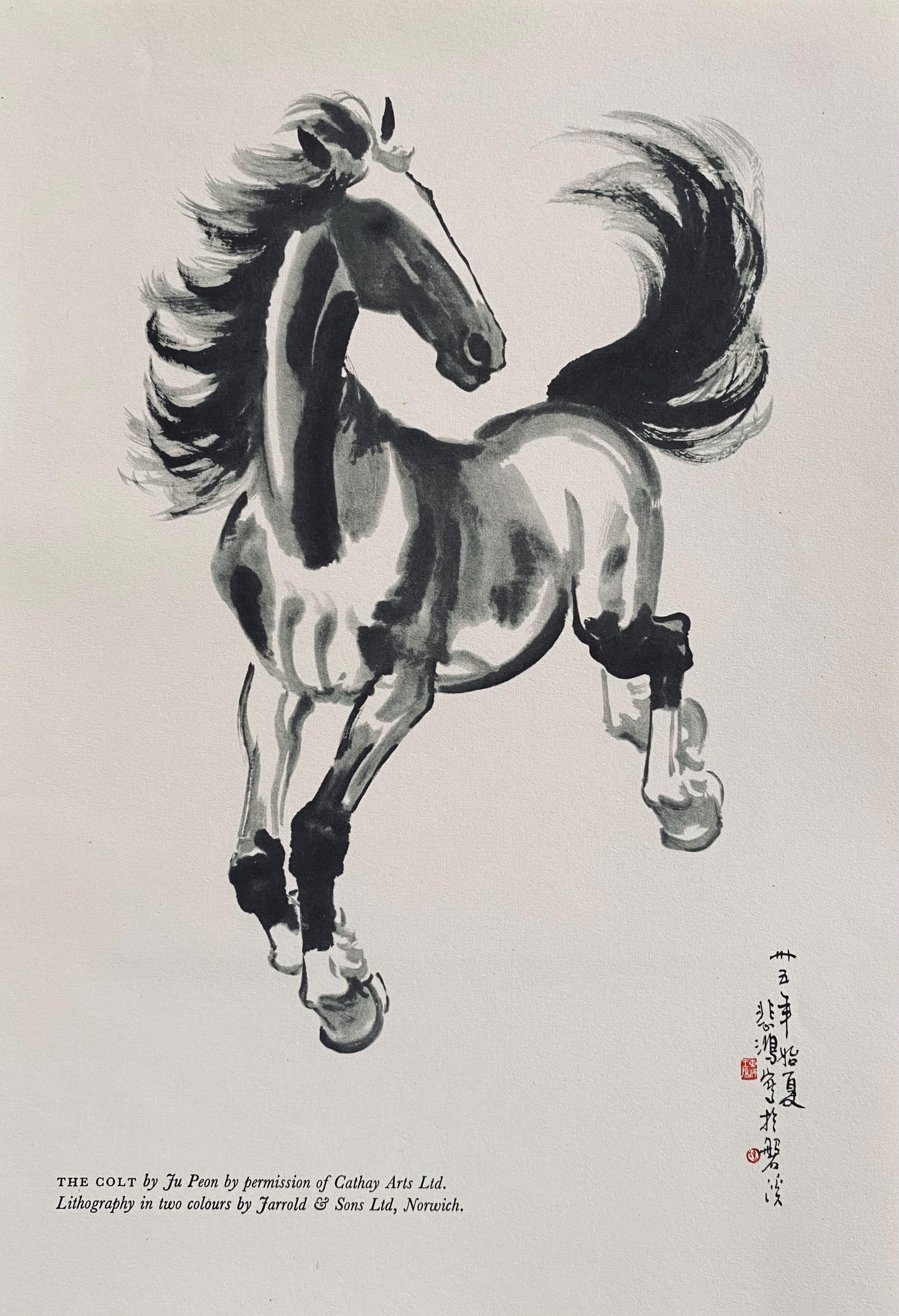 1956 JU PEON LITHOGRAPH 'the Colt' Printed by Jarrold Co in
