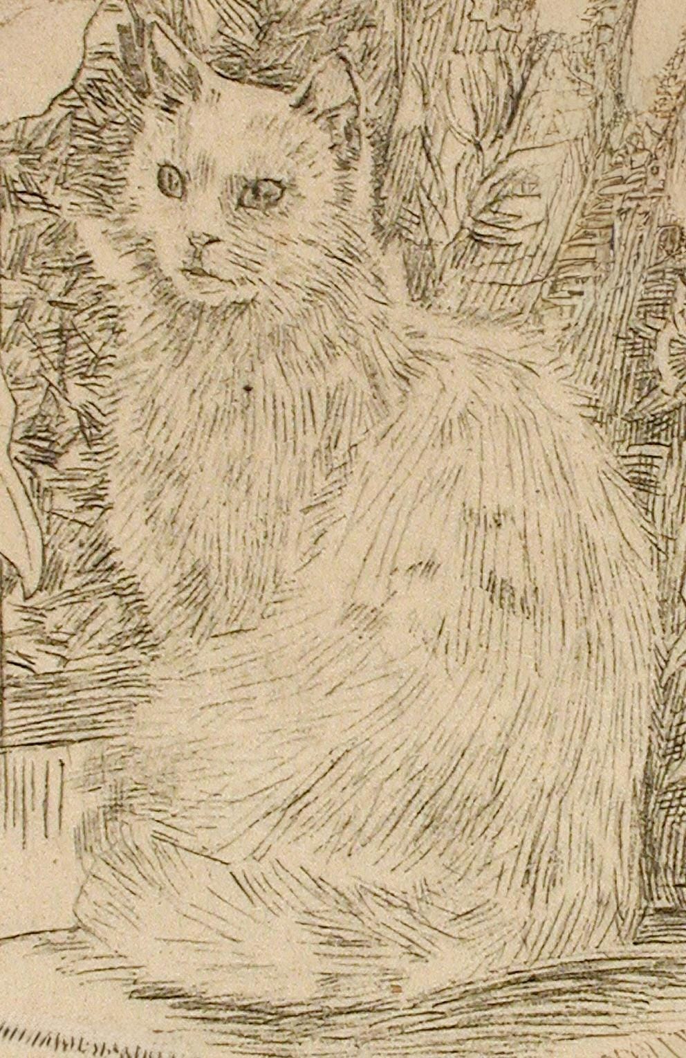 フェリシアン・ロップス、Le Cabinet de Toilette フェリシアン・ロップス画集「Félicien Rops: Le Cabinet de