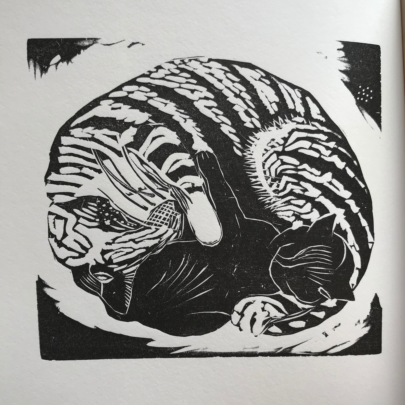 JOHN NASH 'cat and Kittens'. Woodcut From Original Block. Rampant Lion ...