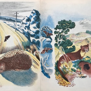 Libro stampato &quot;Wild Birds of Britain&quot; di John Nash del 1946, 13,5x9,5 pollici.