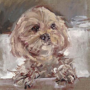 Beertje (Bea) Vonk 'MALTIPOO' Stampa su carta fatta a mano Zerkall. A4. Pittura del cane.