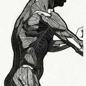 REIJER STOLK Studio anatomico. Originale nel Rijksmuseum. 1885. Stampa su carta a bordi frastagliati fatta a mano. A3.
