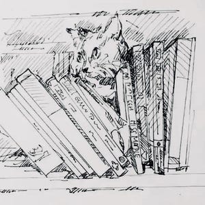 Beertje (Bea) Vonk 'Thomasina sulla libreria' Stampa su carta di cotone fatta a mano. A4.