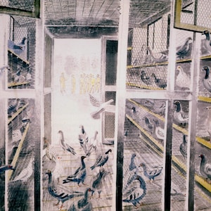 May include: Watercolor painting of a pigeon coop filled with numerous pigeons. The birds are in various poses, some perched on shelves, others in flight. The coop has multiple compartments with wire mesh and wooden frames.