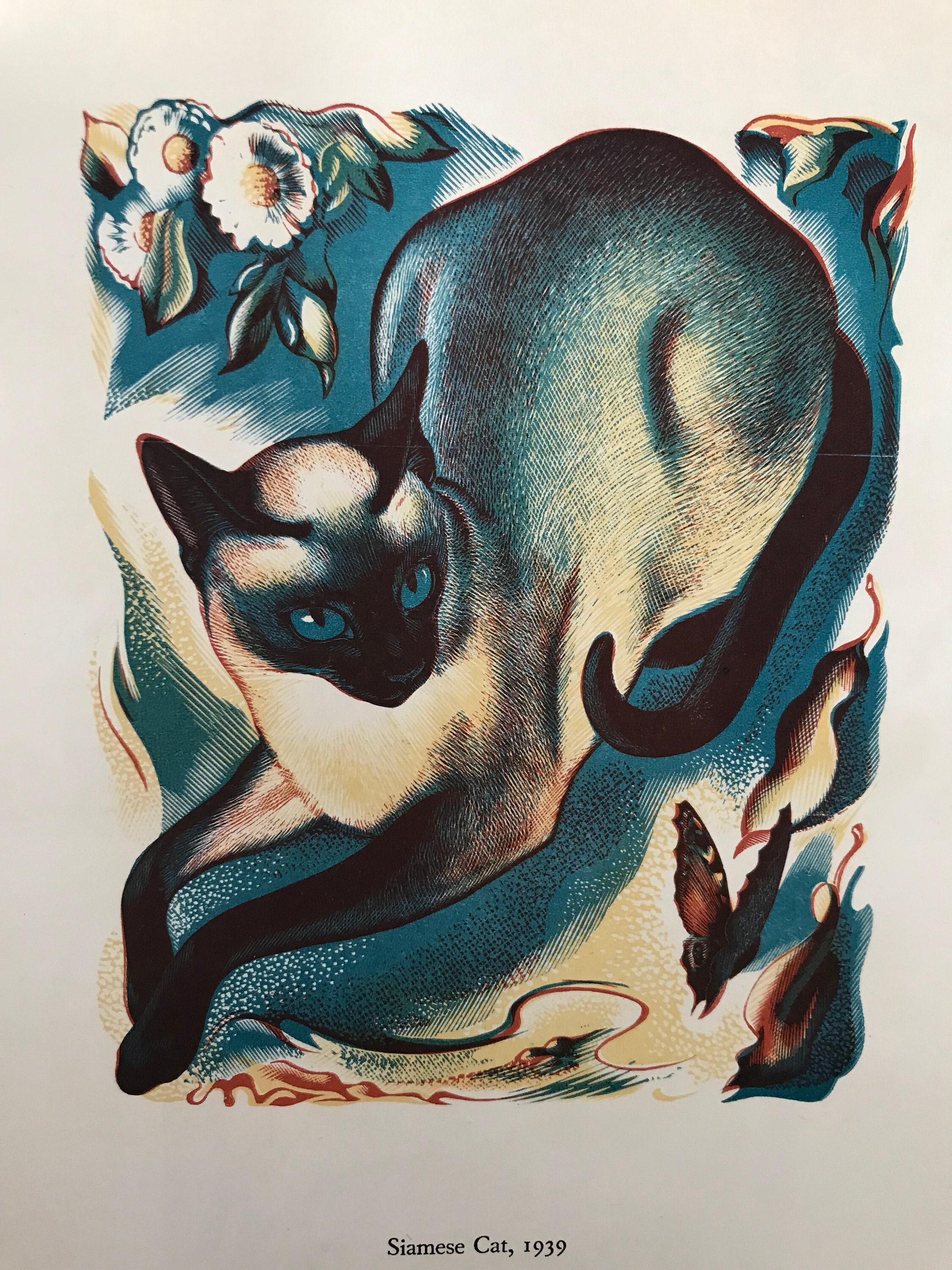 1950 AGNES MILLER PARKER Wood Engraving 'siamese Cat and Butterfly