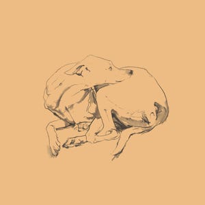 Beertje (Bea) Vonk 'GREYHOUND' Stampa su carta fatta a mano Zerkall. A4. Pittura del cane.