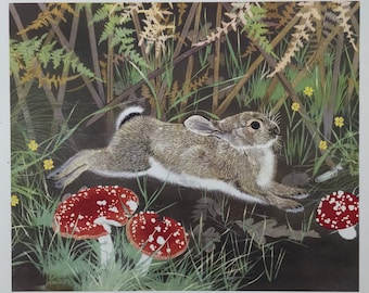 1953 LITHOGRAPH  &#39;Young Rabbit and Agaric&#39; in 7 Colours W.R.Royle & SonSheet Size C.11x8ins..