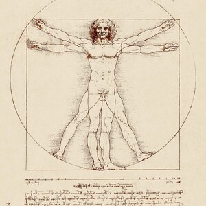 LEONARDO DA VINCI 'Uomo vitruviano'. Stampa grande su carta con bordo frastagliato fatta a mano. 16,5x11,7 pollici.