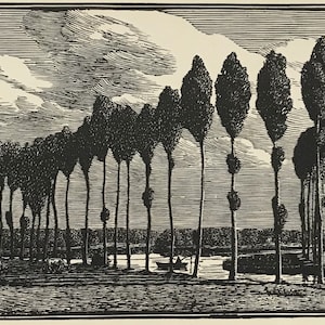 GWEN RAVERAT 'Poplars' Wood Engraving Printed from the Original Block. Trees. Landscape. River. Image Size 7x3.25ins