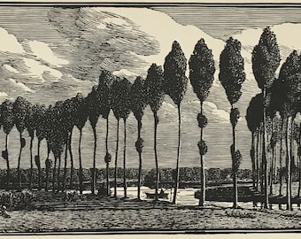 GWEN RAVERAT &#39;Poplars&#39; Wood Engraving Printed from the Original Block. Trees. Landscape. River. Image Size 7x3.25ins
