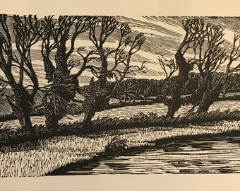 GWEN RAVERAT &#39;Five Trees&#39; Wood Engraving from Magnesium Block. The Fens. Image Size 5.5x3ins.