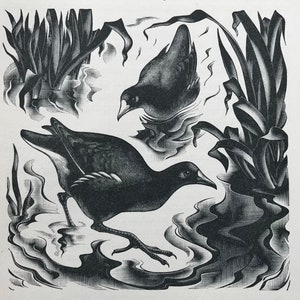 1936 AGNES MILLER PARKER &#39;Moorhens&#39; Holzgravur Bäume Landschaft Gedruckt bei Camelot Press c.5x5ins ..