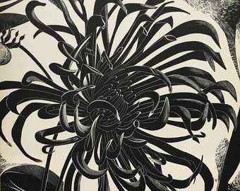 1950 JOHN FARLEIGH Wood Engraving. FLOWER. Printed on Basingwerk Parchment from the Original Block at Shenval Press. c.10x7.25ins..