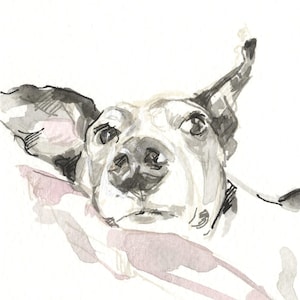 Beertje (Bea) Vonk 'LURCHER' Stampa su carta fatta a mano Zerkall. A4. Pittura del cane.