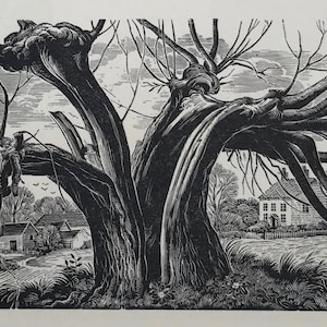 1950 JOAN HASSALL Wood Engraving &#39;Our Village&#39; Lightning Oak. Printed on Basingwerk Parchment. Image Size c.4x2.75ins..