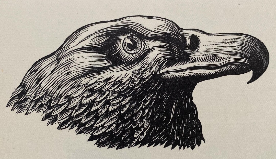 1947 BARBARA GREG 'eagle' Print on Basingwerk Parchment at Shenval ...