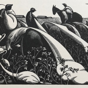 1942 CLARE LEIGHTON Houtgravure Katoen plukken uit &#39;Southern Harvest&#39;. Macmillan. Eerste druk. Velformaat C.5,25 x 4 inch