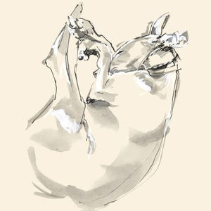 Beertje (Bea) Vonk 'WHIPPET' Stampa su carta fatta a mano Zerkall. A4. Pittura del cane.