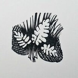 May include: Black and white woodcut print of three pine cones and leaves.