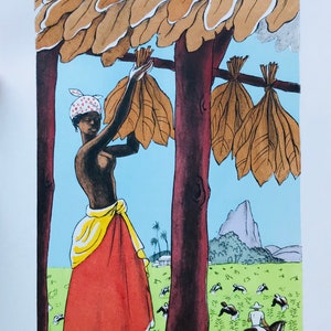 Puede incluir: Una mujer con una falda roja y amarilla está colgando hojas de tabaco para que se sequen bajo un techo de paja. Las hojas están colgadas de una vara de madera. Hay una montaña en el fondo y un hombre a caballo en el campo.