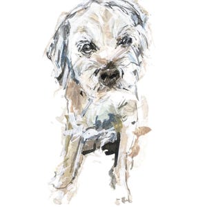 Beertje (Bea) Vonk 'TERRIER' Stampa su carta fatta a mano Zerkall. A4. Acquerello per cani.