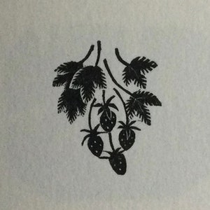 May include: Black and white illustration of a strawberry plant with leaves and five strawberries.