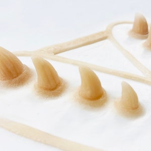 Puede incluir: Un conjunto de dientes puntiagudos de color beige claro dispuestos en un patrón semicircular. Los dientes están colocados sobre una superficie blanca, con un fino contorno beige claro. Los dientes tienen un aspecto ligeramente texturizado.