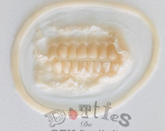 May include: A prosthetic set of teeth, light beige in color, is set in a clear, oval-shaped base. The teeth are detailed and realistic, with visible individual teeth. The base has a raised edge. The text "Dotties Do SFX Prosthetics" is printed at the bottom.