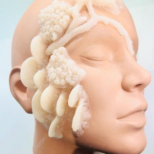 May include: A mannequin head in profile, with a pale complexion. Attached to the head are several off-white, textured, organic-looking structures. The structures are clustered around the eye, cheek, and forehead.
