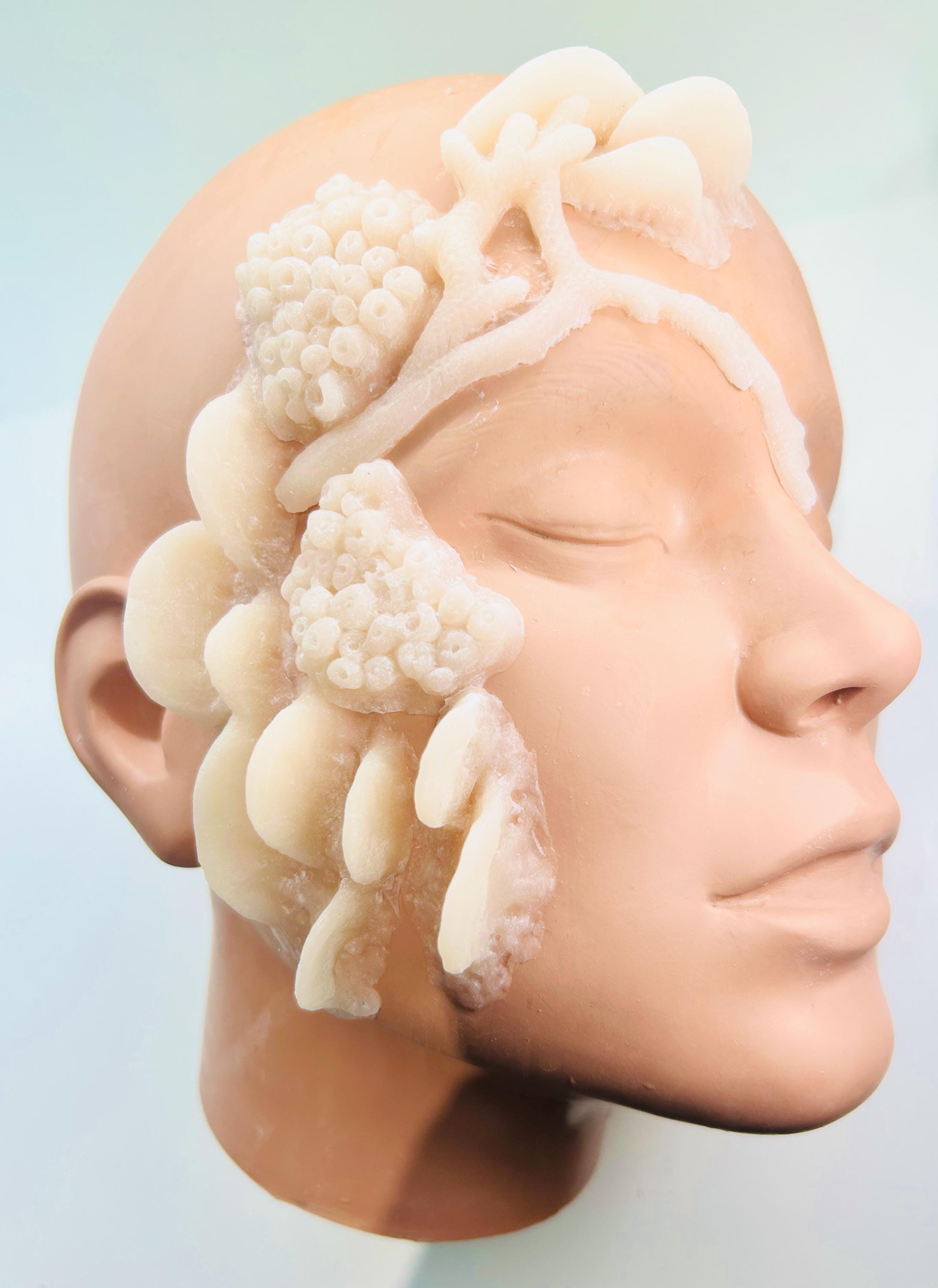 Set of Unpainted Silicone Prosthetics Sea Pieces, barnacles crustacians mussels