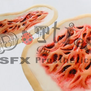 Puede incluir: Dos prótesis SFX con diseño de heridas realistas. Las piezas tienen un borde beige y un interior texturizado detallado en tonos rojos y rosas, imitando la carne expuesta. El texto "SFX Prosthetics" es visible.