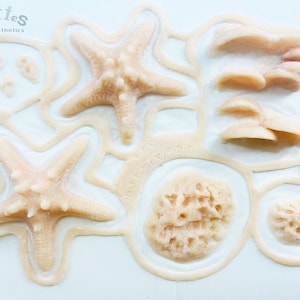 May include: A beige silicone mold featuring various marine-themed shapes including two five-pointed starfish, a textured coral-like cluster, a small circular porous element, and a series of layered shell-like forms, with the text Dotties SFX Prosthetics.