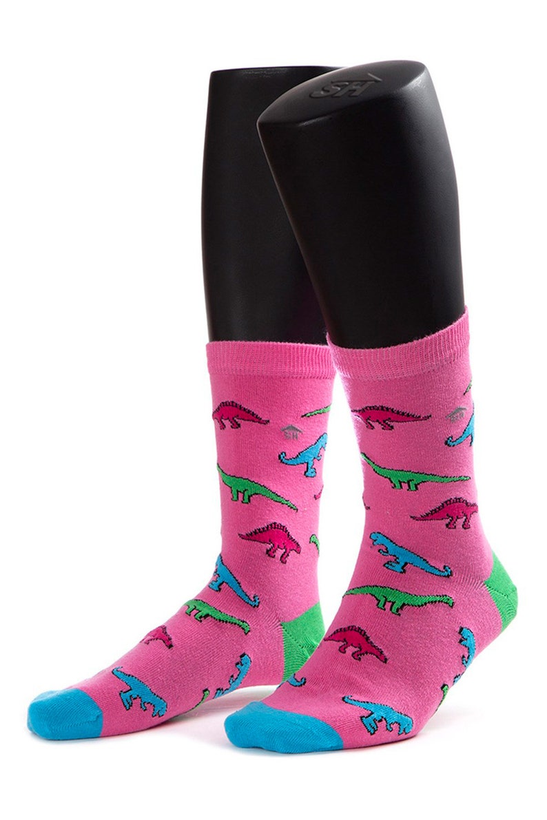 Dinosaur Design Socks, Colorful Dinosaur Pattern Women Socks, Crazy