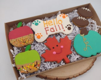 Hello Fall, Dog Treat gift Box, Happy Fall Treat for dogs, Fall Pumpkin Treats, Dog Gift Box, Fall Decorated Treats, Cute Treats for Dog
