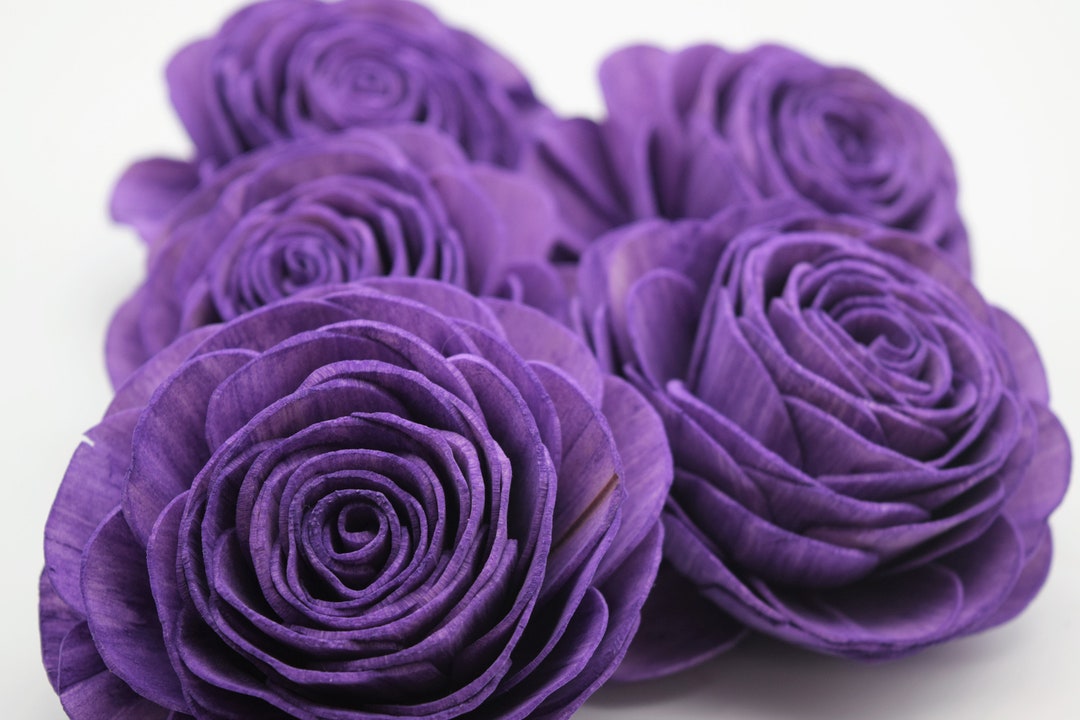 Sola Wood Flowers, Purple Sola Flowers, Purple Wood Flowers, Sola Wood