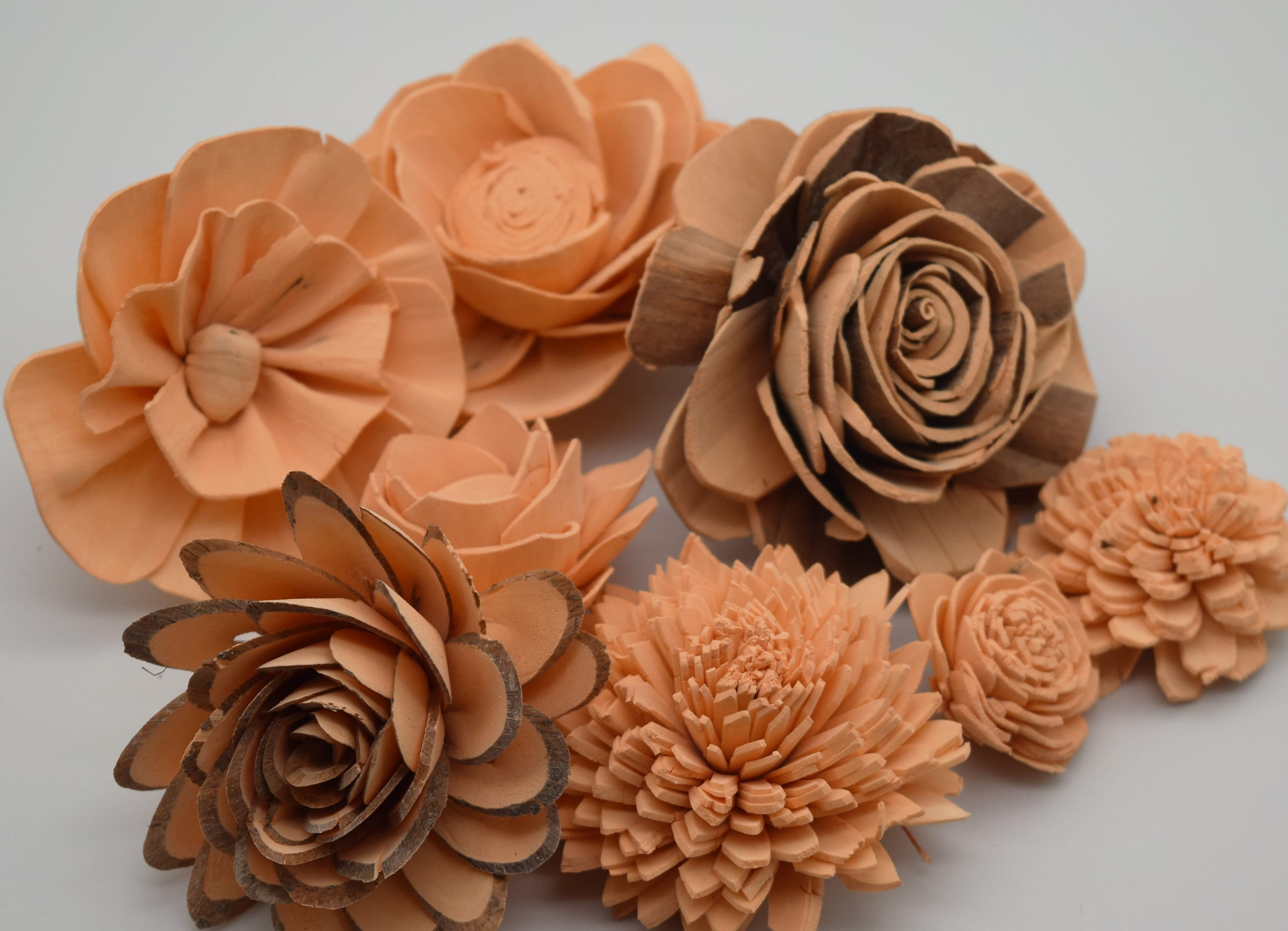 w.o.d.　F.L.O.W.E.R.S. Sola Wood Flowers, Peach Flowers, Wood Flowers, Forever, DIY