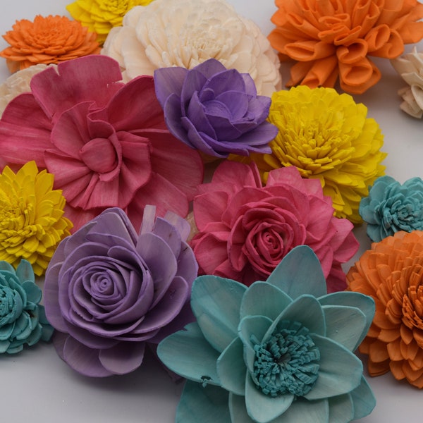 Sola Wood Flowers, Wood Flower Kit, Colorful Sola Flower Assortment, DIY Crafts, Bright Sola Wood Flowers, Sola Flower Kit, Wood Flowers