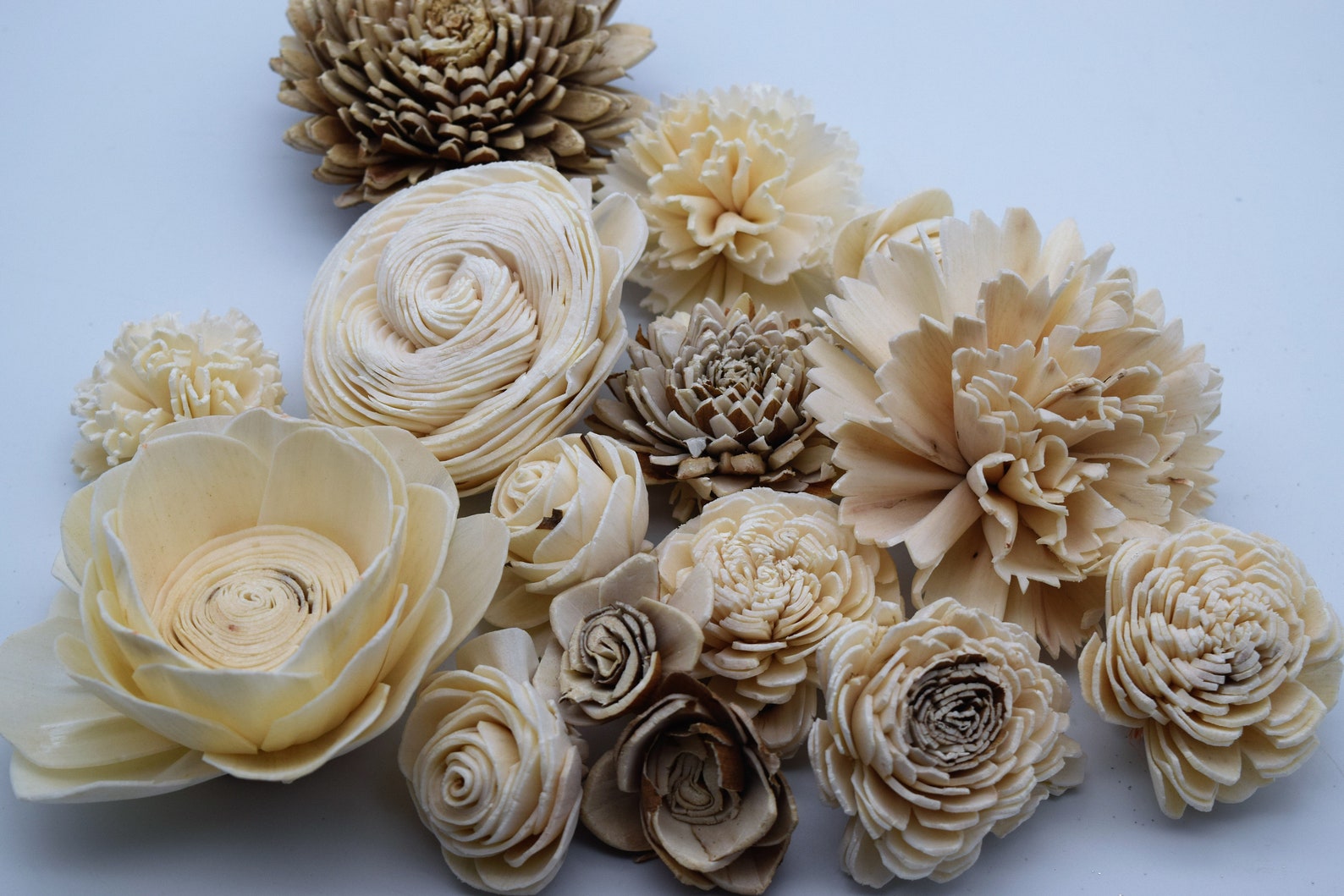 Raw Sola Wood Flowers Bulk Wood Flowers DIY Crafts Sola Etsy
