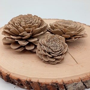 Fleurs en bois en vrac, Fleurs en bois Taupe, Fleurs en bois rustiques, Décoration de fleurs en bois de Sola, Fleurs en bois, Fleurs en bois, Décor en fleurs taupe image 4