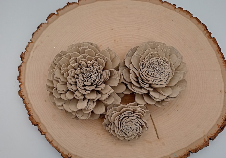 Bulk Wooden Flowers, Taupe Wooden Flowers, Rustic wood flowers, Sola Wood Flower Decor, Wooden Flowers, Wood Flowers, Taupe Flower Decor image 3