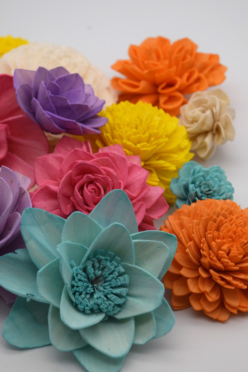 Sola Wood Flowers Wood Flower Kit Colorful Sola Flower Etsy