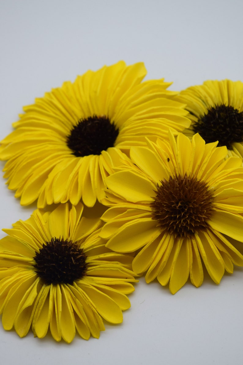 Sunflower Sola Wood Flowers Wood Flowers 10 Cnt Sunflowers Etsy Canada