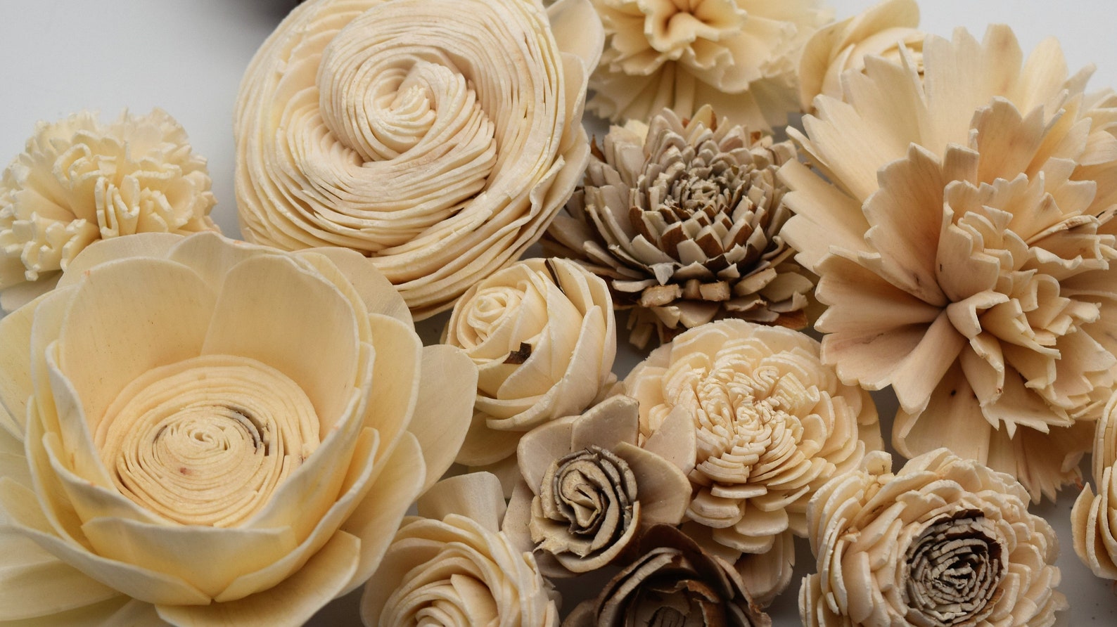 Raw Sola Wood Flowers Bulk Wood Flowers DIY Crafts Sola Etsy