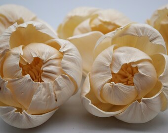 Peony Sola Wood Flowers, Wood Flowers, 5 count Peony, DIY Crafts, Craft Kit, Crafts for Home, Peony Flowers, DIY Wedding Flowers