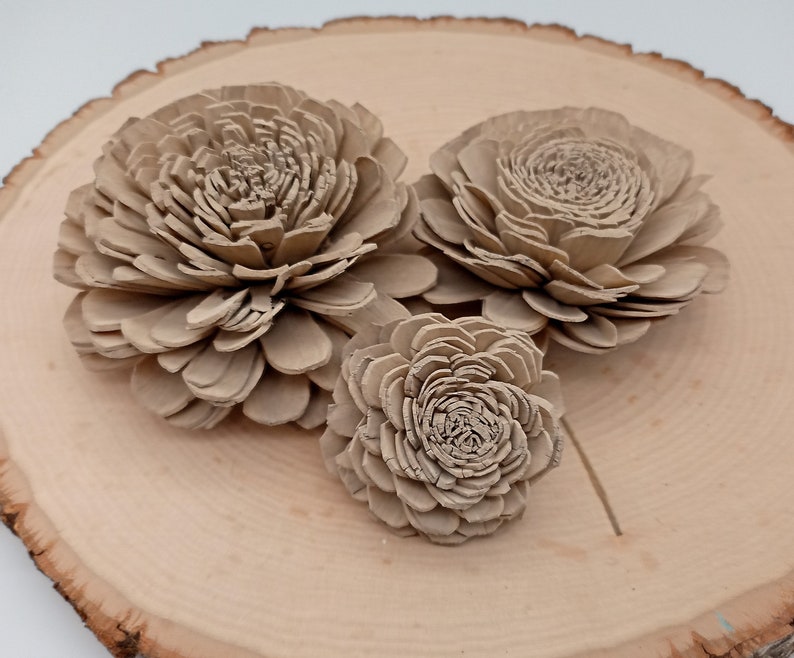 Bulk Wooden Flowers, Taupe Wooden Flowers, Rustic wood flowers, Sola Wood Flower Decor, Wooden Flowers, Wood Flowers, Taupe Flower Decor image 2
