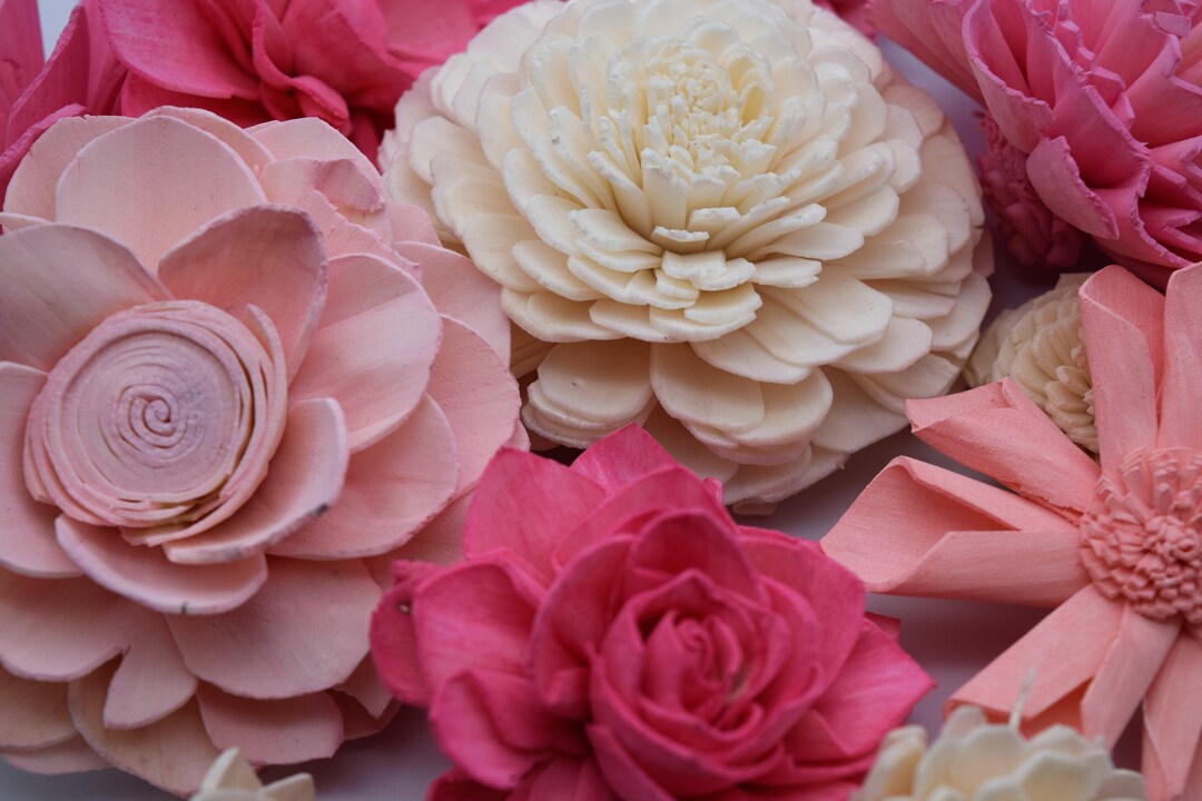 Sola Wood Flower Assortment, Blush/pink/natural Wedding Flowers, DIY