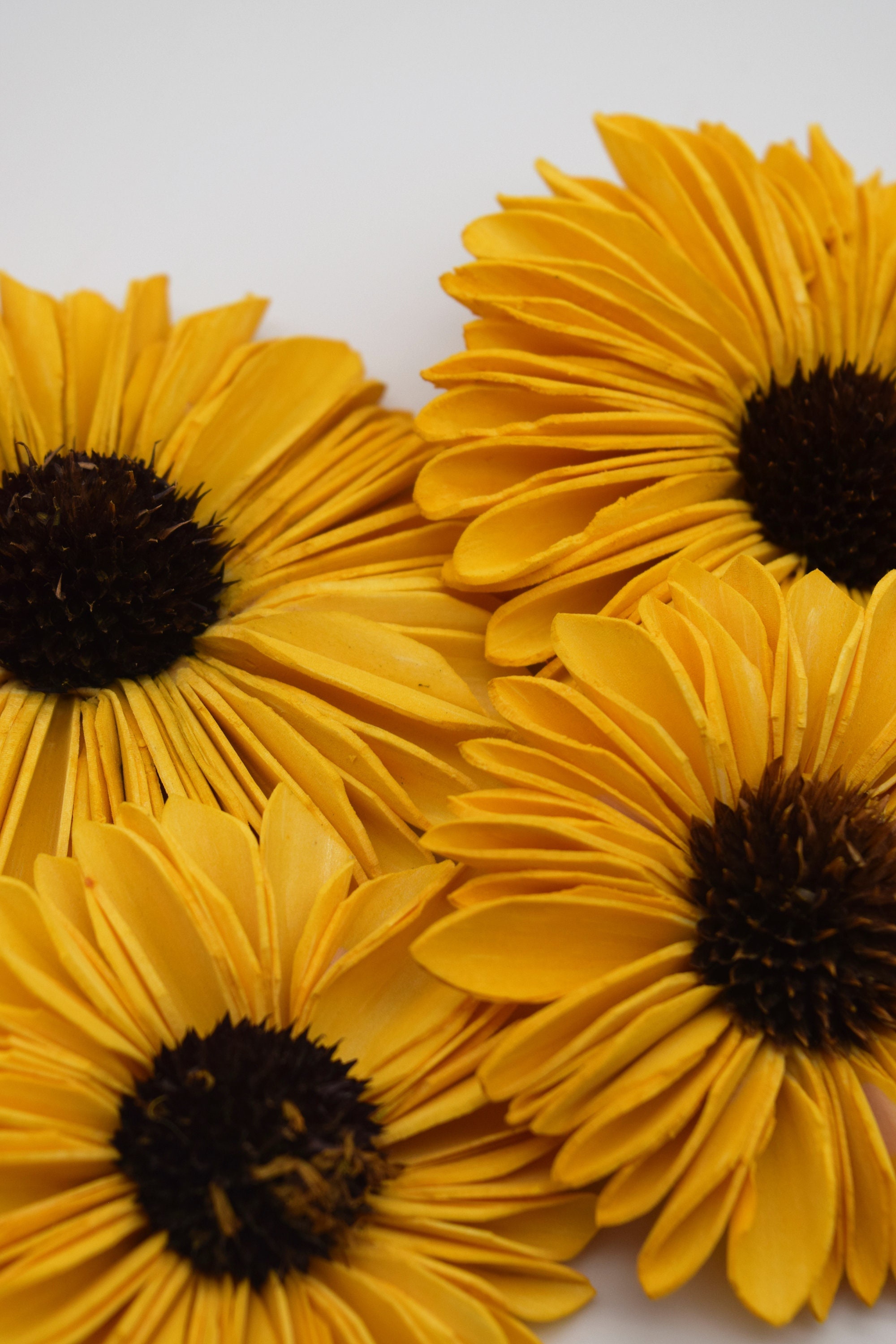 Sunflower Sola Wood Flowers Wood Flowers 10 Cnt Sunflowers Etsy Canada