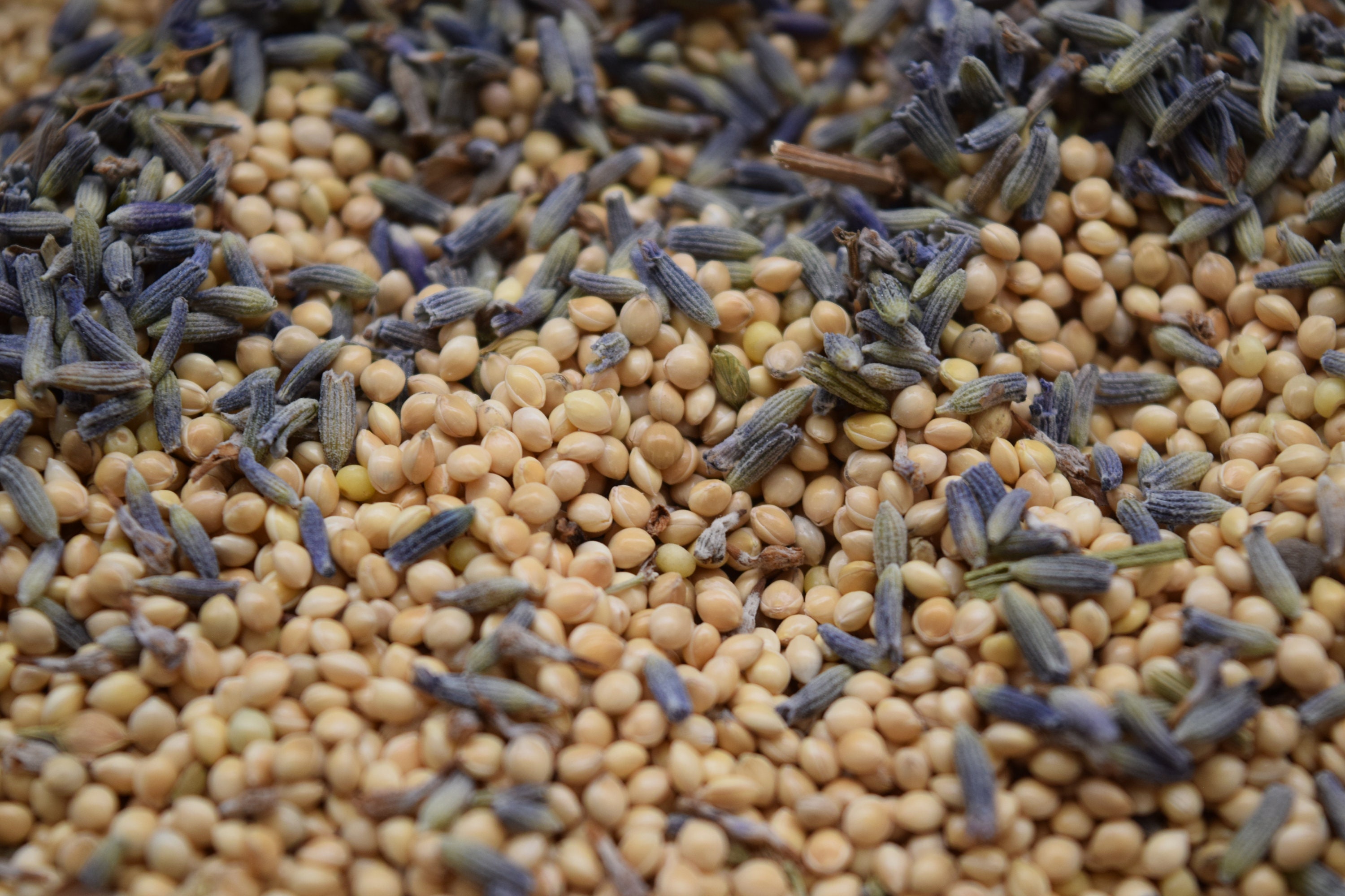Lavender Bud & Natural Bird Seed Bulk Mixture Wedding Exit - Etsy UK