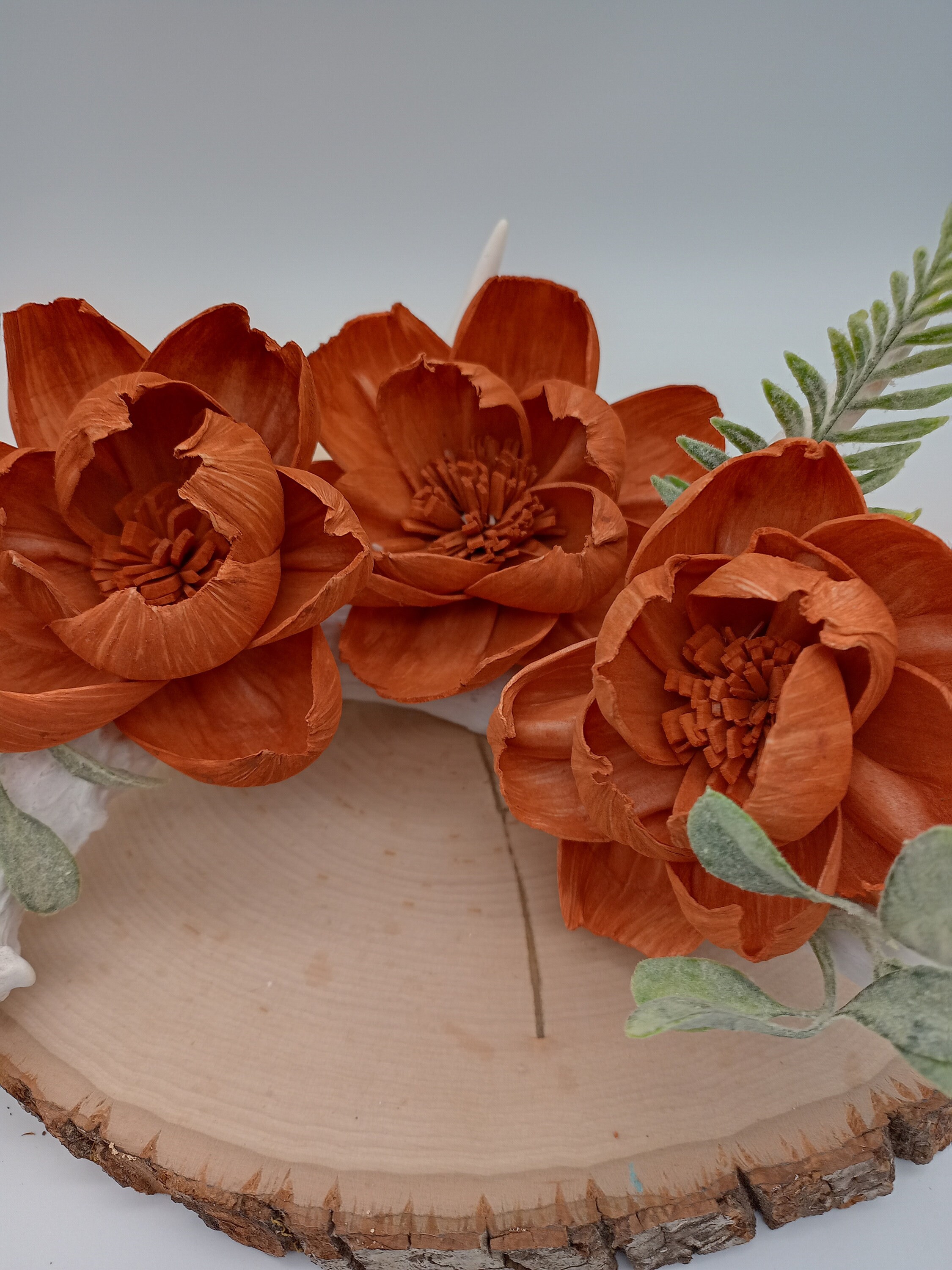 Natural Shed Antler Deer Antler Home Decor Antler With Wood Etsy